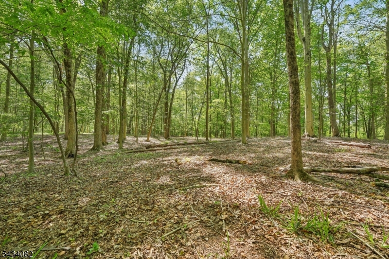 Homestead Rd Property Photo 12