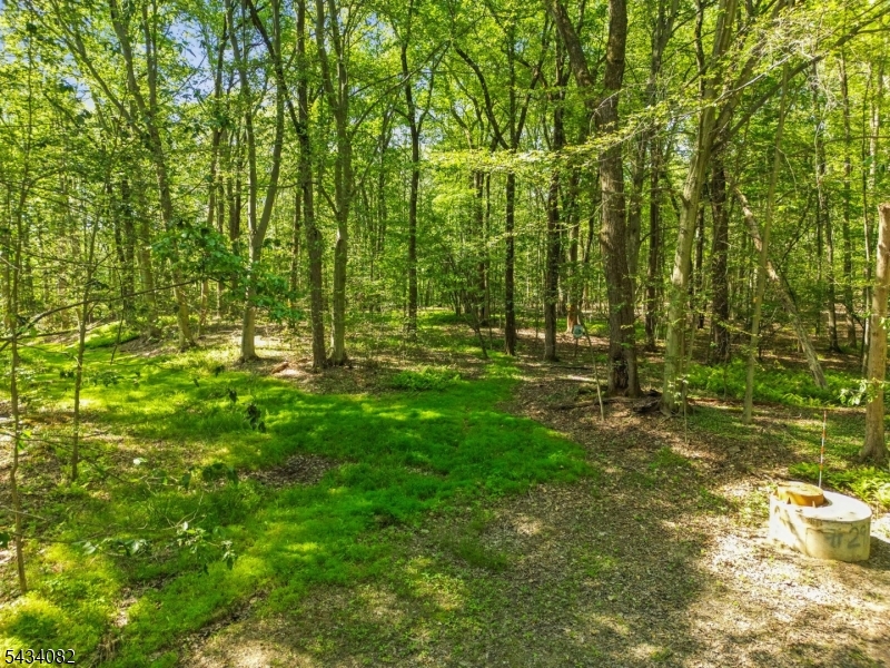 Homestead Rd Property Photo 14