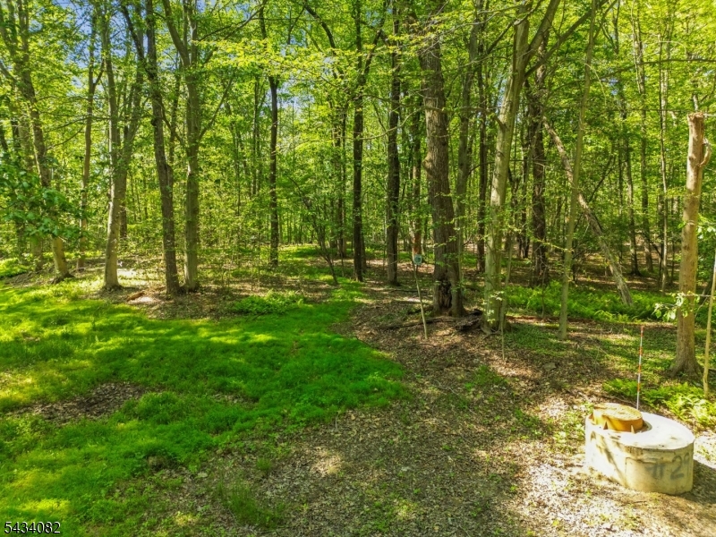 Homestead Rd Property Photo 15