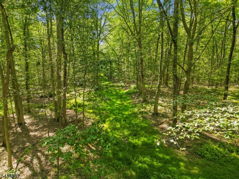 Homestead Rd Property Photo 16