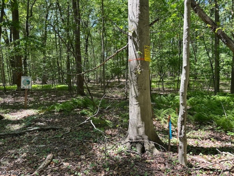 Homestead Rd Property Photo 17