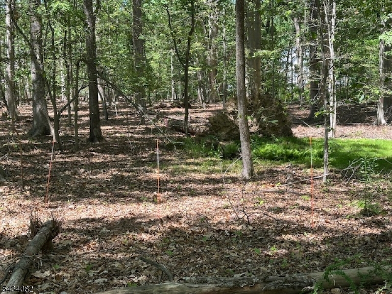 Homestead Rd Property Photo 18