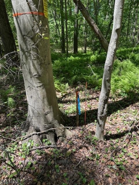 Homestead Rd Property Photo 19