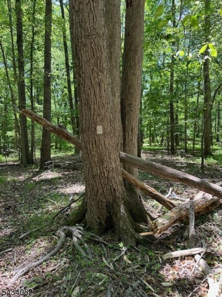 Homestead Rd Property Photo 20