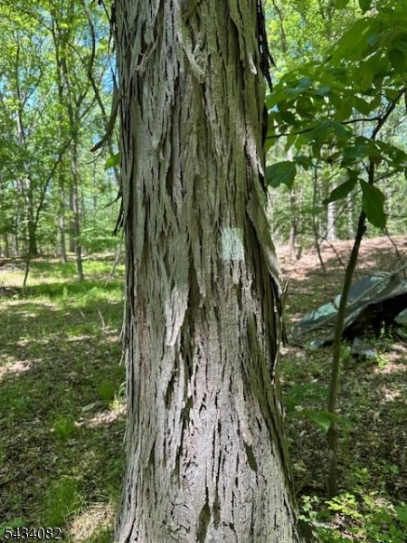 Homestead Rd Property Photo 21