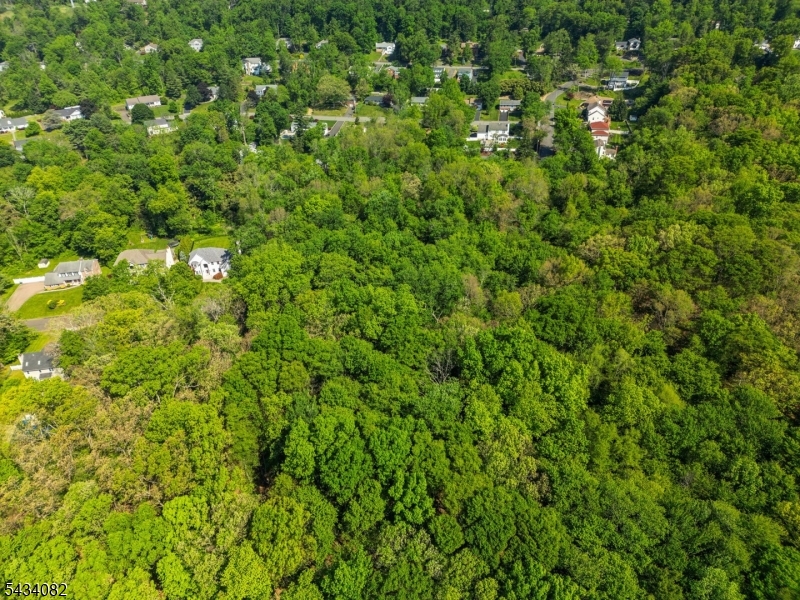Homestead Rd Property Photo 23