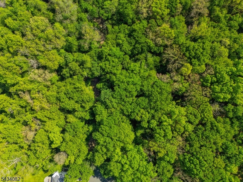 Homestead Rd Property Photo 25