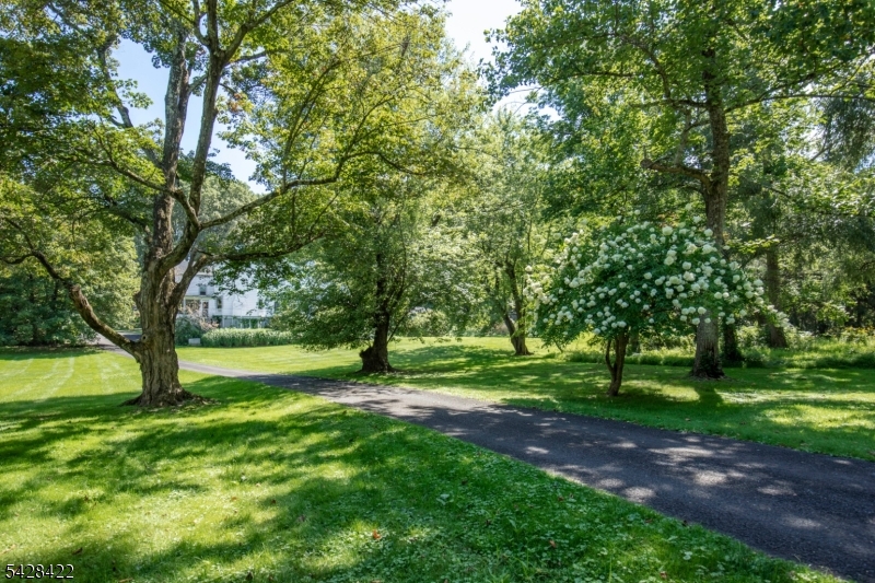 270 Mendham Rd Property Photo 29