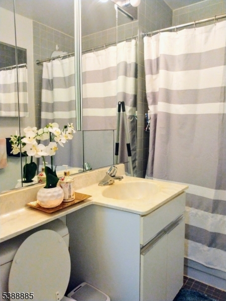 111 Mulberry St 6j Property Photo 6