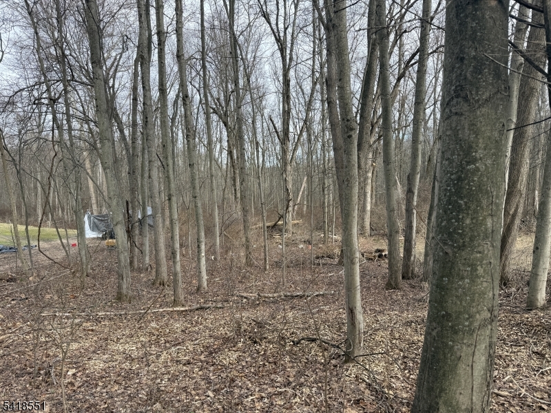 Countryside Rd Property Photo 1