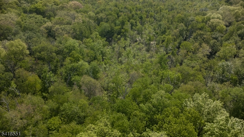 Countryside Rd Property Photo 3