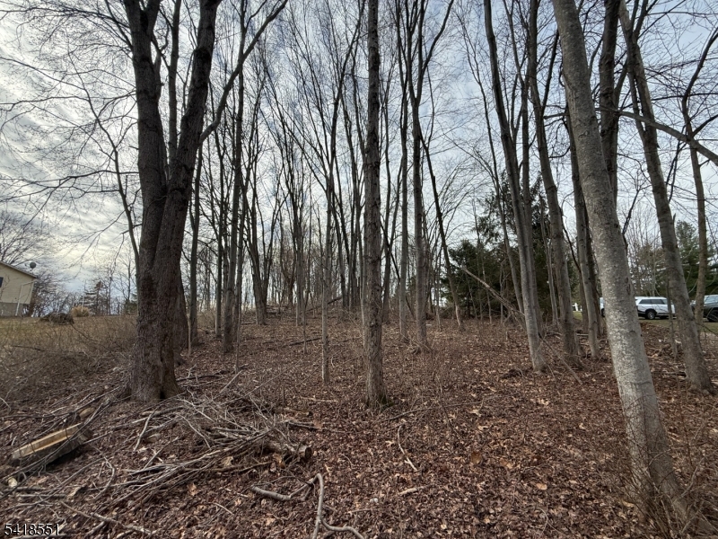 Countryside Rd Property Photo 8