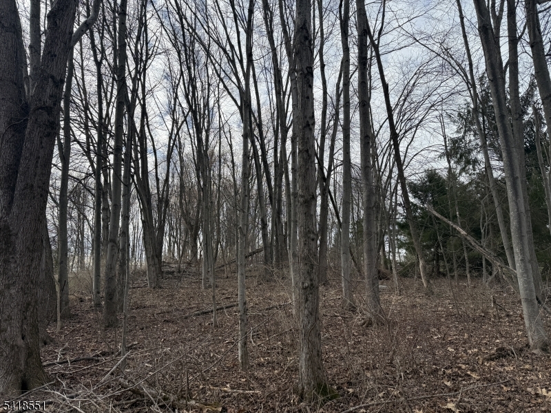 Countryside Rd Property Photo 9