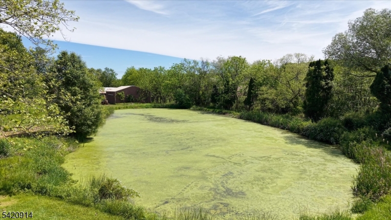 441 Pittstown Rd Property Photo 45