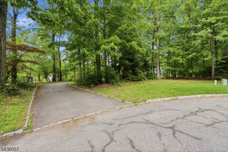 4 Meadow Oak Dr Property Photo 4