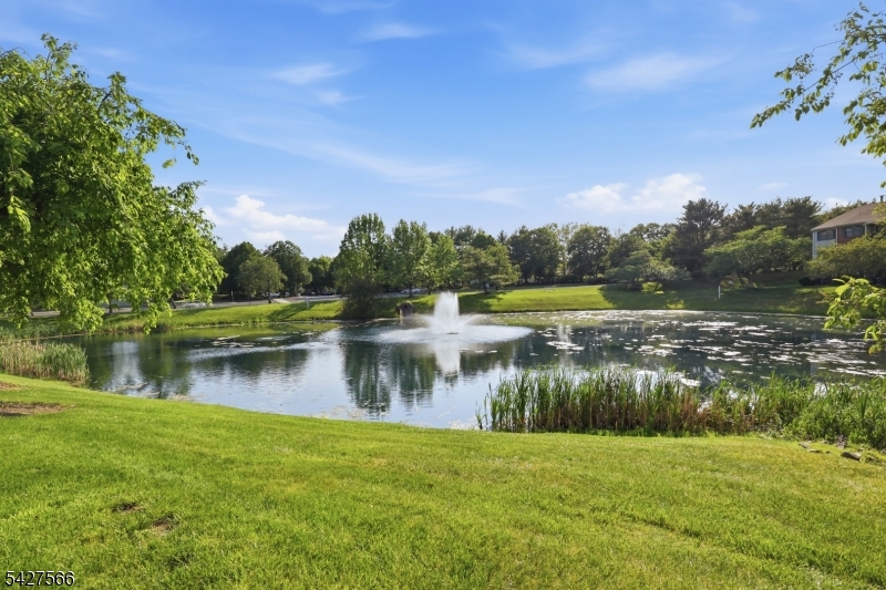 195 English Pl Property Photo 17