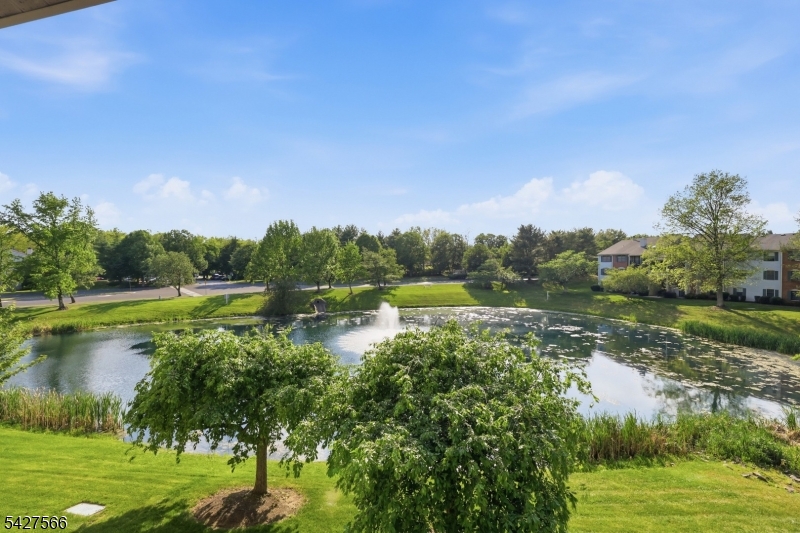 195 English Pl Property Photo 18