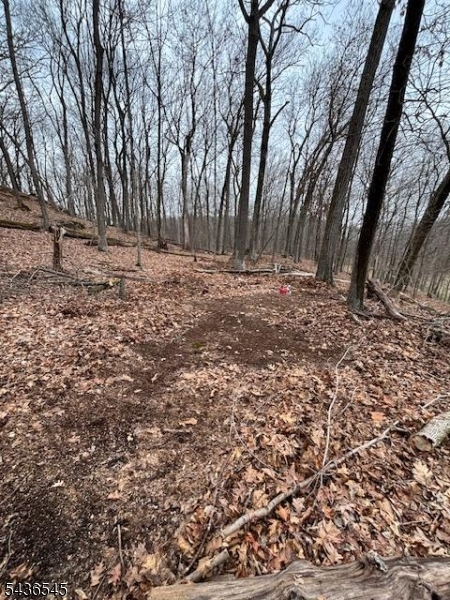 Monroe Rd Property Photo 18