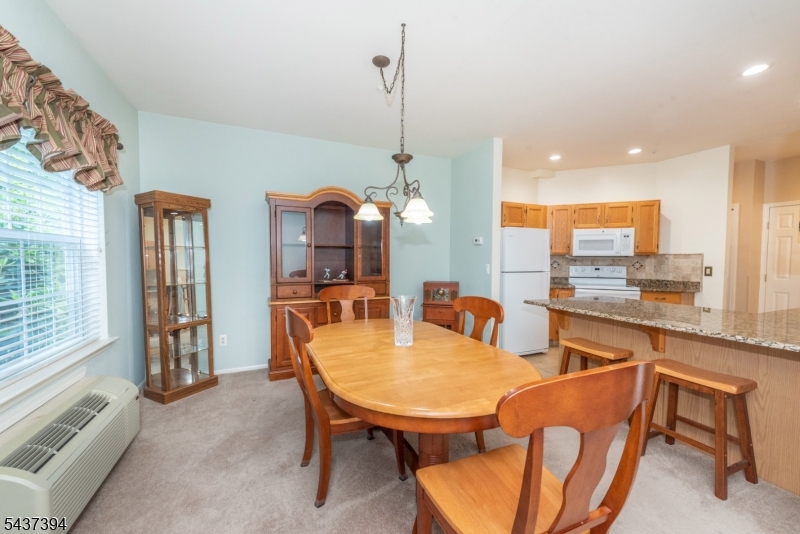 1101 Richmond Rd 101 Property Photo 6