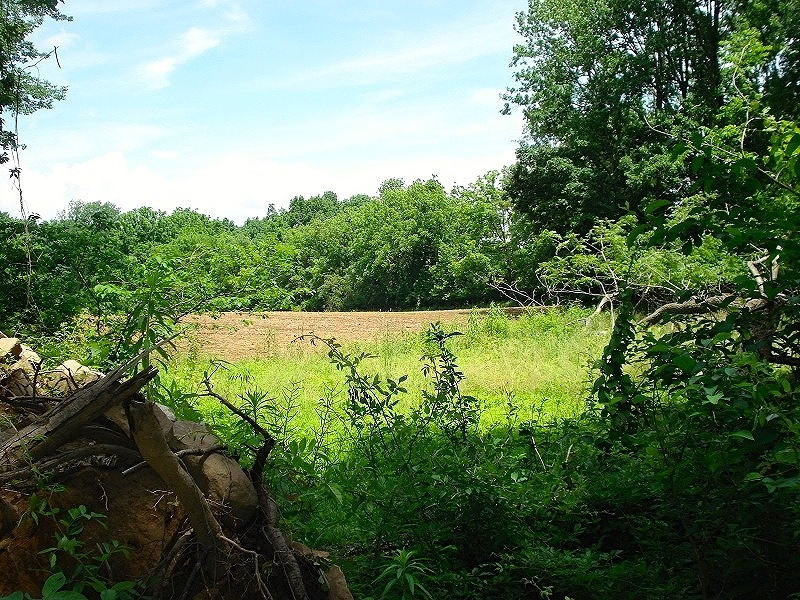 Mellicks Woods Rd Property Photo 1