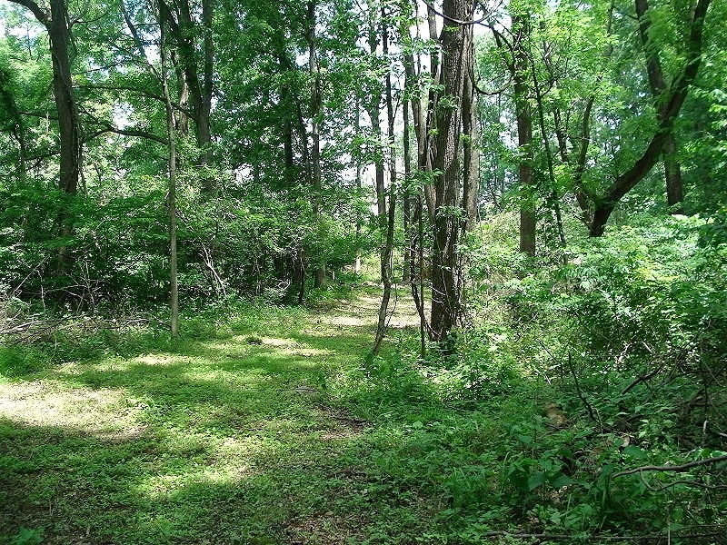 Mellicks Woods Rd Property Photo 2