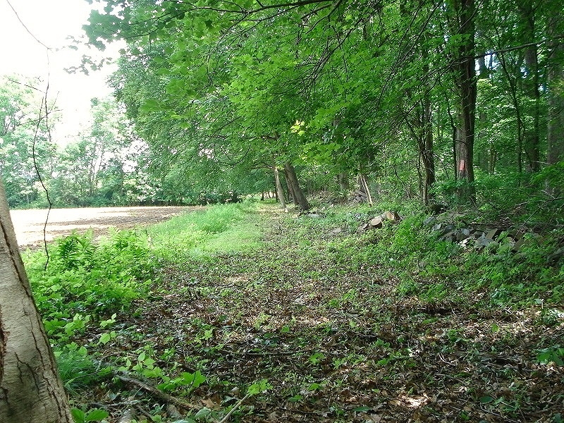 Mellicks Woods Rd Property Photo 4