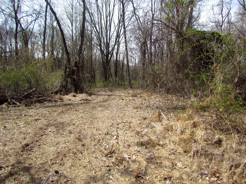 Mellicks Woods Rd Property Photo 5