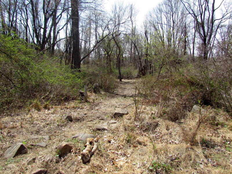 Mellicks Woods Rd Property Photo 6