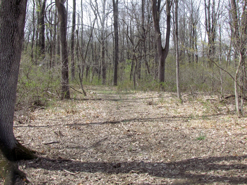 Mellicks Woods Rd Property Photo 7