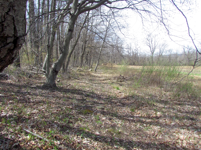 Mellicks Woods Rd Property Photo 8