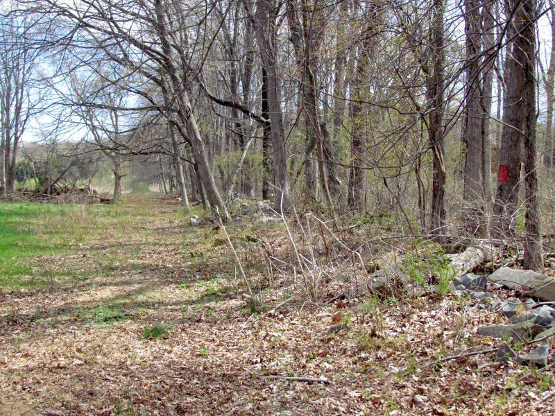 Mellicks Woods Rd Property Photo 9