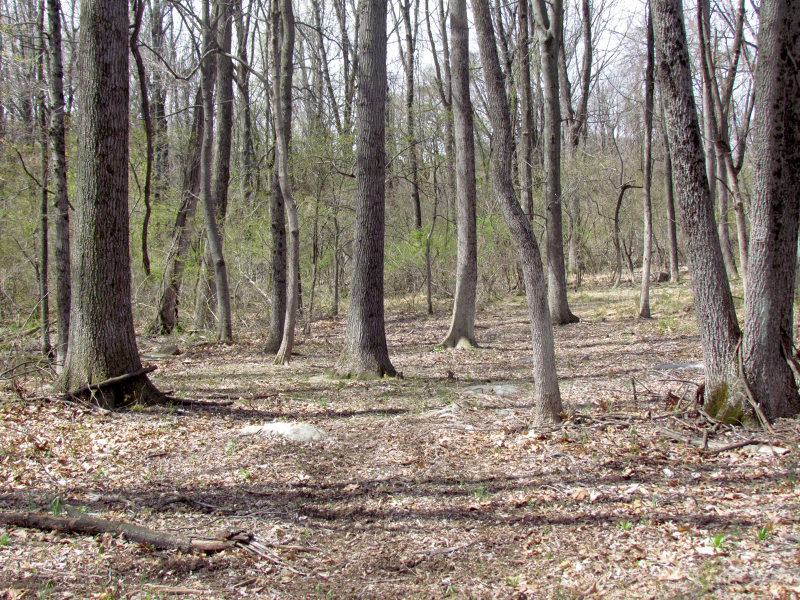 Mellicks Woods Rd Property Photo 10