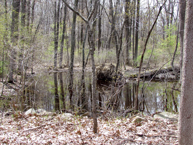 Mellicks Woods Rd Property Photo 11