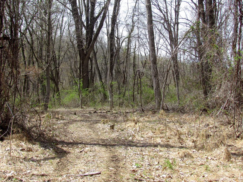 Mellicks Woods Rd Property Photo 13