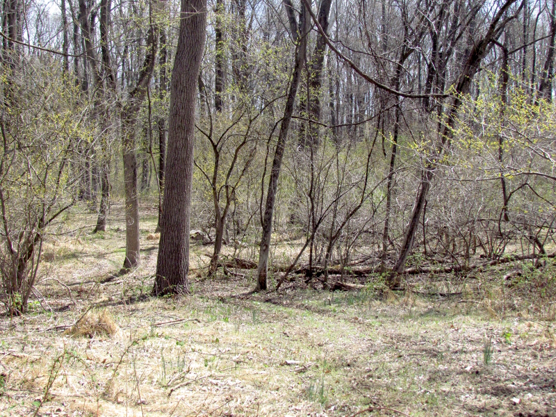 Mellicks Woods Rd Property Photo 14