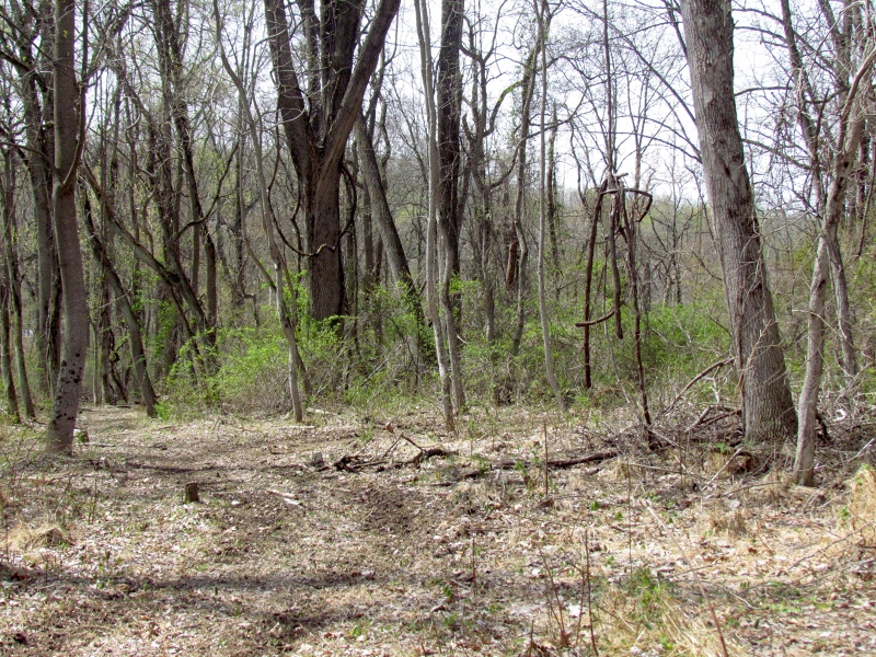 Mellicks Woods Rd Property Photo 15