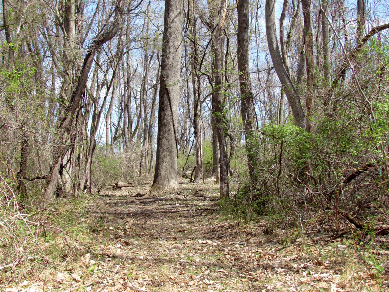 Mellicks Woods Rd Property Photo 16