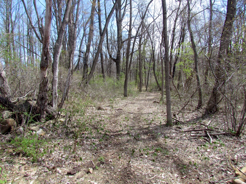 Mellicks Woods Rd Property Photo 17