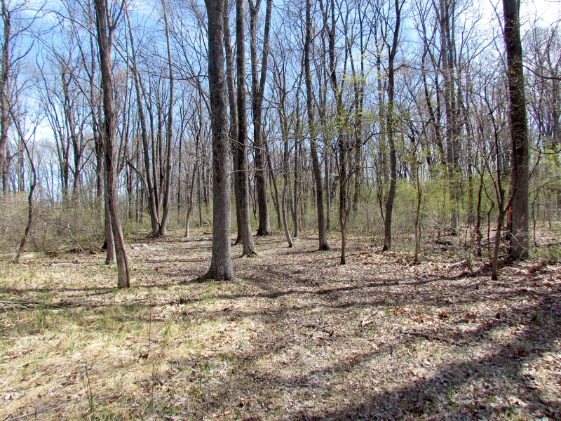Mellicks Woods Rd Property Photo 18