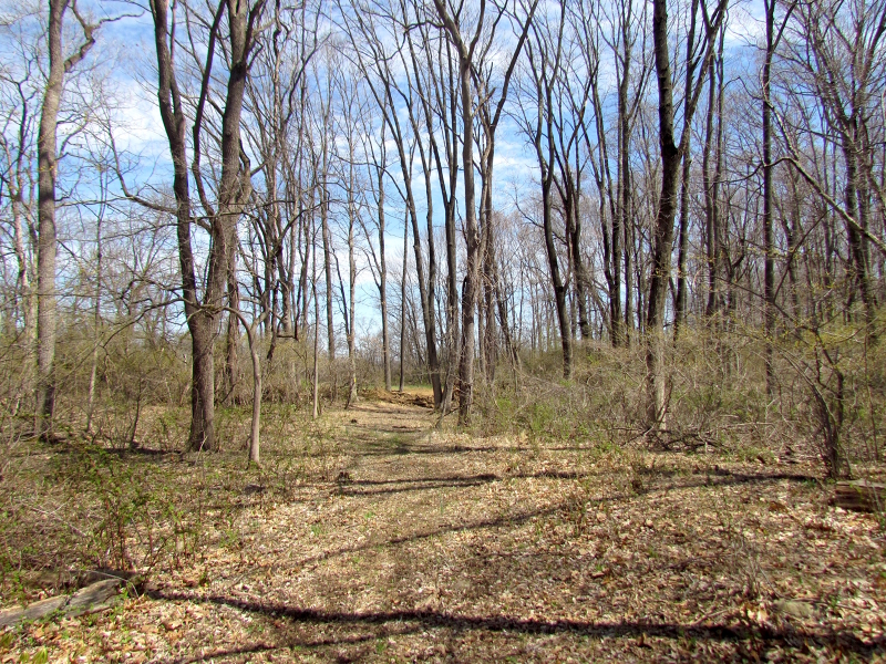 Mellicks Woods Rd Property Photo 19