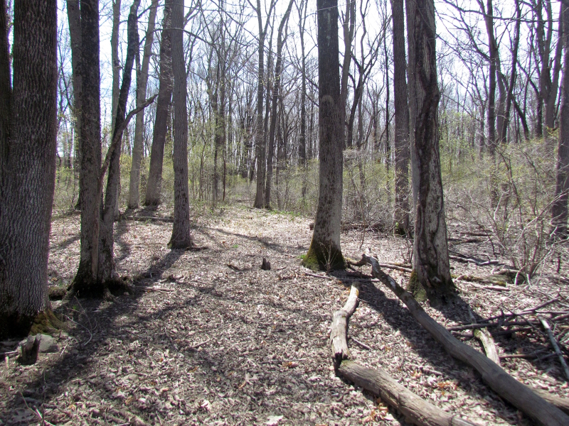 Mellicks Woods Rd Property Photo 20