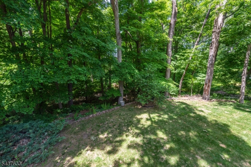 6 Mohawk Trl Property Photo 24