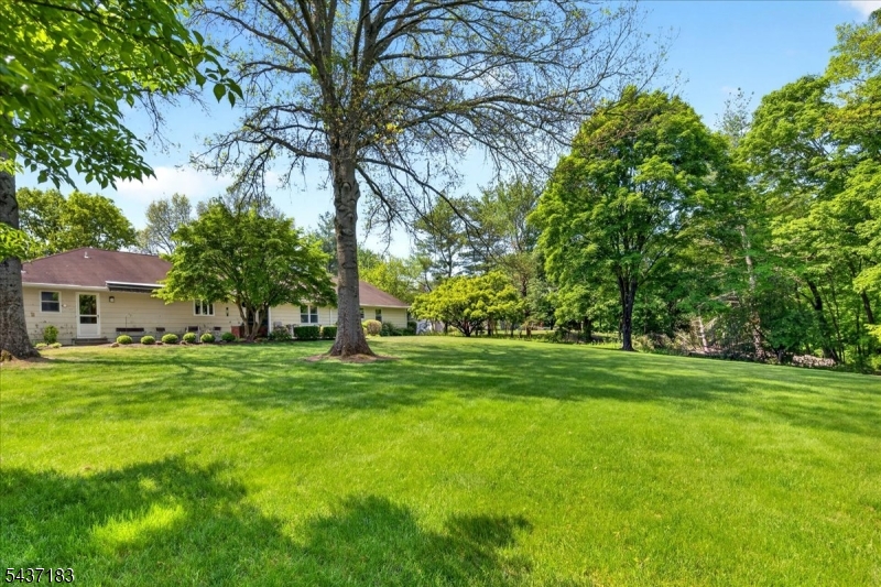 54 Platz Drive Property Photo 37