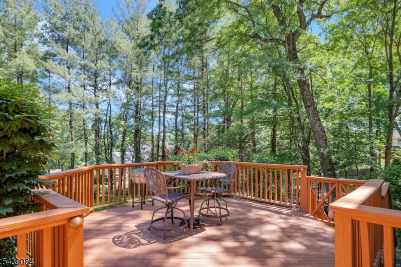10 Moonshadow Ct Property Photo 39