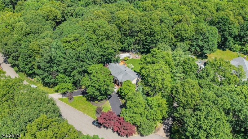 10 Moonshadow Ct Property Photo 48