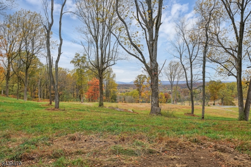 Danville Mountain Rd Property Photo 2