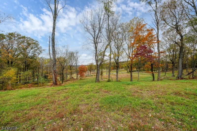Danville Mountain Rd Property Photo 3
