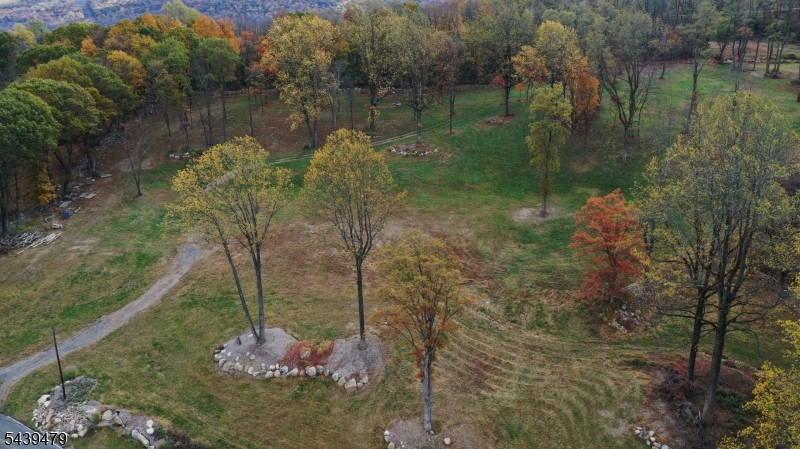 Danville Mountain Rd Property Photo 4