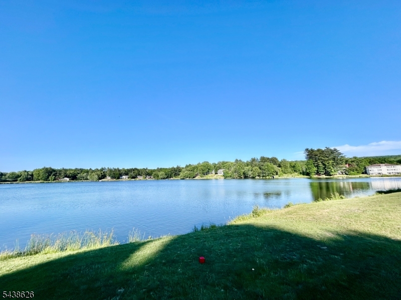 Lake Shore Property Photo 7