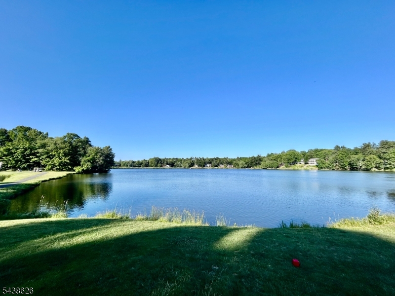 Lake Shore Property Photo 10